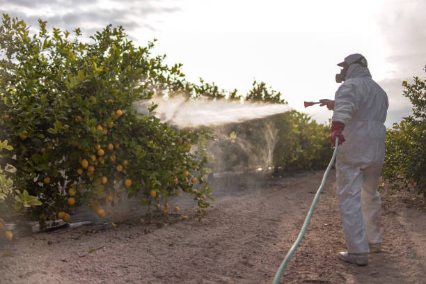 Best Commercial Pest Control Services  in Toftrees, PA