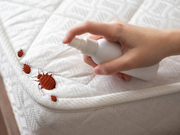 Best Bed Bug Extermination  in Toftrees, PA