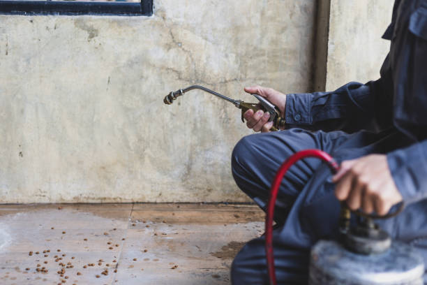 Best Affordable Pest Control Services  in Toftrees, PA